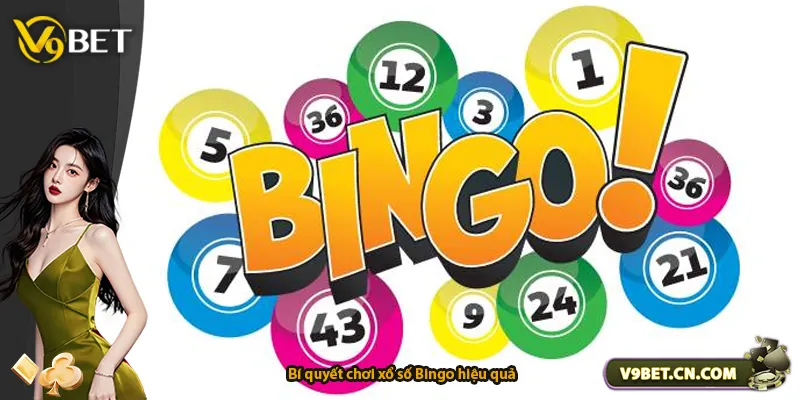 Bí quyết chơi xổ số Bingo hiệu quả