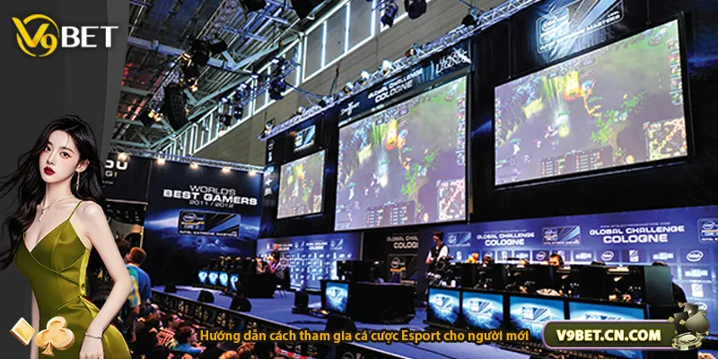 Hướng dẫn cách tham gia cá cược Esport cho người mới