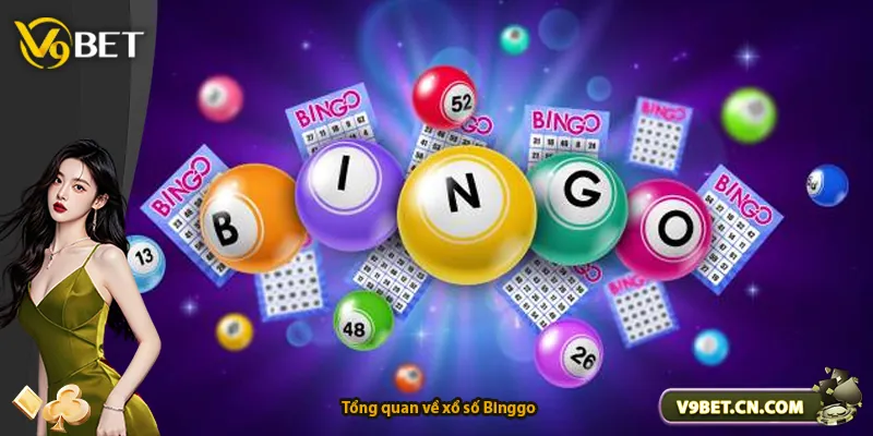 Tổng quan về xổ số Binggo